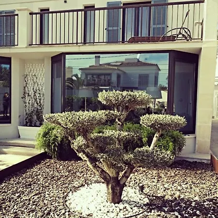Villa Luna Bay Palma de Mallorca